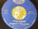 Frantic Chicago Garage Punk Stomper 45 Danny's Reasons Little Diane IRC HEAR