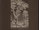 Muckram Wakes - A Map Of Derbyshire - Vinyl Record.. - P7900A