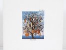 Talk Talk - Spirit Of Eden - Vinyl - LP - Schallplatte - NM