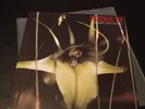 PSYCHIC TV Dreams Less Sweet BLACK VINYL RECORD LP Throbbing Gristle 2011 press