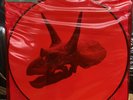 Alice In Chains The Devil Put Dinosaurs Here Picture Disc Vinyl New Never Played