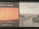 Strange Ranger Daymoon & Remembering the Rockets (Both 1st Pressing Color Vinyl)