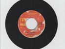 CHANTI/ BEAST OF BURDEN - KWAME HESHIMU (79 REGGAE ROOTS 7