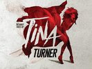 Various - Many Faces Of Tina Turner (2LP)
