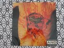 DISMEMBER Indecent And Obscene LP 1993 ORIGINAL  NEAR MINT DEATH METAL
