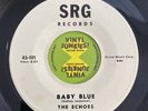 The Echoes 1960 DOO WOP 45 Baby Blue / Boomerang ORIGINAL SRG HEAR White Label