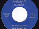Off-Kilter Song Poem GUY HEWSTAN My Point Of View/Island Blues 45 Endeavor HEAR