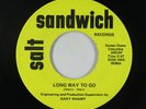 Psych 45 - Gary Rhamy - Long Way To Go - Salt Sandwich - VG+ mp3 - unknown?