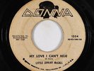 Doo-Wop Teen 45 - Little Johnny McCall - My Love I Can't Hide - Donna - mp3