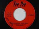 Garage Psych Fuzz 45 - Hinge - The Idols Of Your Mind - Tee Pee - VG+ mp3