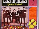 LOS ARABES: grandiosos MAGDA 12