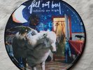Fall Out Boy - Infinity on High. Picture disc. Punk. USA.