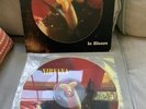 nirvana - In Bloom 12 Inch Picture Disc