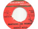 Arizona R&B/Blues ROOSEVELT NETTLES 