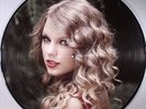 Taylor Swift We are never ever getting back together Remixes Picture Disc Vinyl