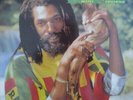 Vinyle - Don Carlos (2) - Deeply Concerned (LP, Album)