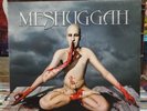 Meshuggah obZen 2LP Red Translucent Ltd Ed VG++++