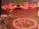 MORBID ANGEL DOMINATION VINYL