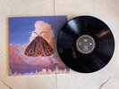 Chairlift - Moth - Black Vinyl