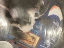 2007 Fall Out Boy Infinity On High Island Records Vinyl Picture Disc LP