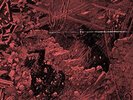 Integrity - Systems Overload [Colored Vinyl] NEW Sealed Vinyl LP Album