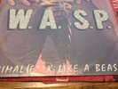 WASP Animal (F**K Like a Beast) 1984 12