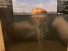 THE MARS VOLTA De Loused in the Comatorium Black/Gold Colored VMP Vinyl NEW LP