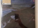 THE MOUNTAIN GOATS - DARK IN HERE -VINYL 2LP MINE LANTERN PALE ETCHED LTD ED NEW