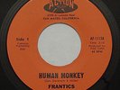 FRANTICS Human Monkey /Someday NM ACTION Garage Psych Bay Area Moby Grape 45 MP3
