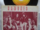 RAMONES 7” Wanna Be Sedated 1979 DUTCH UNIQUE SLEEVE punk DEAD BOYS nyhc MISFITS