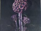 Blut Aus Nord Hallucinogen Vinyl