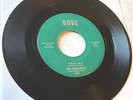 The Companions - Falling/Oh What a Feeling  45 Dove doo wop VG HEAR