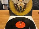 NEKTAR Orig German LP VG+ 1976 Horzu Bellaphon  BLPS19224 Vinyl Near Mint