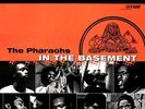 The Pharaohs - In The Basement (VINYL LP) RECORD STORE DAY 2022 RSD