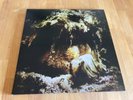 Wolves In The Throne Room - Celestial Lineage  Vinyl LP