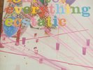 Four Tet - Everything Ecstatic LP *VINYL* used record