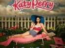 One of the Boys by Katy Perry (Record, 2009)