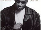 Jay-Z - In My Lifetime, Vol. 1 '97 2xLP US ORG EX/EX-