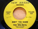 The Del - Reys  Don't You Know / Walk Proud New Breed DJ Promo 45 EX NM