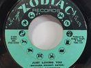 Rare Northern Soul 45 - Ruby Andrews - Just Loving You - Zodiac Records - RARE