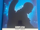 Godflesh Post Self Vinyl *NEW* - Sealed Copy