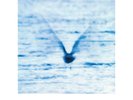 Ryo Fukui - Mellow dream Vinyl