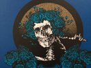 Story of the Grateful Dead 180G 14 LP Colored Vinyl Grundman Mastering  VMP