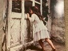 Violent Femmes - Violent Femmes Vinyl Record Rhino Reissue Mint OOP