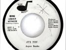 JOYCE BANKS 45 It's You FUN MUSIC Rc 79? HEAR Rare MODERN SOUL Boogie DISCO Funk