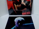 Billy Idol Rebel Yell Vinyl LP NM 1983 Chrysalis FV 41450 Hype On Plastic