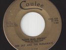 Garage Rocker 2 sides 45 -DEE JAY And The RUNAWAYS - Love Bug Crawl / The Pickup