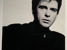 PETER GABRIEL - SO - ORIGINAL US VINYL LP - GEFFEN RECORDS GHS 24088 - 1986
