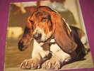 DUFFY - JUST IN CASE YOUR INTERESTED - ARIOLA GERMAN 1974 ORIGINAL SCARCE 2ND LP