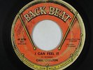 Northern Soul 45 - Carl Carlton - I Can Feel It - Back Beat - mp3